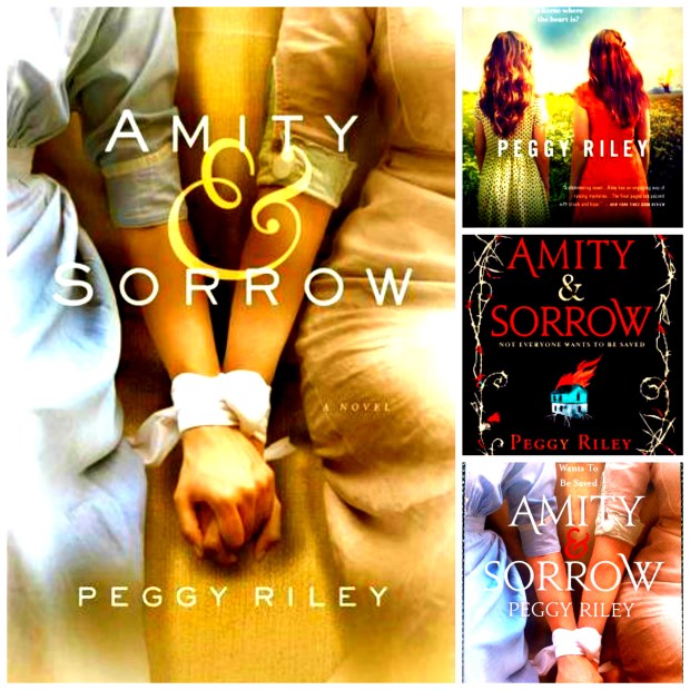 Amity and Sorrow Cover Collage-1